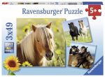 Pusle 3in1 Ravensburger Kochane Konie, 147 tk