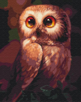 Maalimine numbrite j&auml;rgi Picture Paint It! Owl, mitmev&auml;rviline