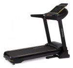 Jooksurada Zipro Pacemaker Gold, 2237 W