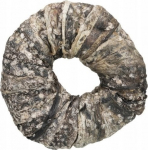 Koeramaius Trixie Denta Fun Chewing Ring, kalaliha, 0.110 kg, 50 tk
