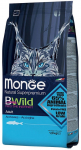 Kuiv kassitoit Monge BWild Adult Anchovies, kalaliha, 1.5 kg