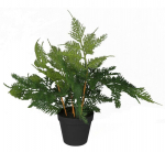 Kunsttaim potis Splendid Asparagus, must v./roheline v., 45 cm x 12 cm