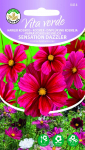 Seemned Vita Verde kosmos Sensation Dazzler Cosmos Bipinnatus Cav.