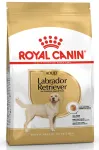 Kuiv koeratoit Royal Canin Labrador Retriever, kanaliha, 3 kg