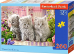 Pusle Castorland Three Grey Kittens 260 el. B-027491, 23 cm x 32 cm, 260 tk, mitmev&auml;rviline