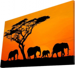 Seinadekoor Wallity, 4570&yacute;act-53, 70 cm x 45 cm