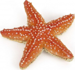 M&auml;ngukujuke Papo Starfish 442856, oranž v.