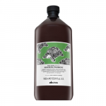&Scaron;ampoon Davines Naturaltech Renewing, 1000 ml
