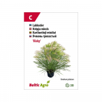 Seemned Baltic Agro k&otilde;rrelised