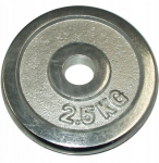 Ketasraskused KUBIsport 2.5 kg