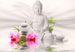 Fototapeet Artgeist Buddha And Orchids, 70 cm x 70 cm