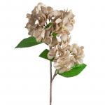Kunstlill Flore 872, beež v., 50 cm x 25 cm