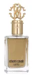 Tualettvesi Roberto Cavalli Uomo Vapor, 100 ml