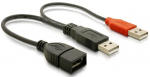 Juhe Delock USB 2.0 x 2, USB 2.0 A female