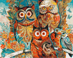Maalimine numbrite j&auml;rgi Paint it! Owls, mitmev&auml;rviline