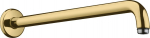 Du&scaron;i p&otilde;lv Hansgrohe Polished Gold Optic, 38.9 cm