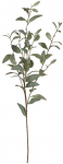 Kunstoks, oliivipuu Splendid Olive, roheline, 130 cm