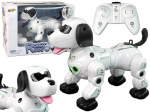 Raadio teel juhitav robot Lean Toys Robot Dog 15159, 25 cm, valge v./must v.