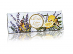 Seep, komplekt Fiorentino Lavender & Cedar, lavendel/seeder, 100 g, 3 tk