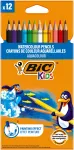 V&auml;rvipliiatsid Bic, 8575613, 12 tk