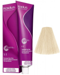 Juuksev&auml;rv Kadus Professional Permanent Color, special blond ash, 12/1, 60 ml