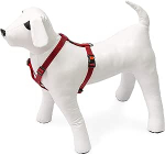 Koerte traksid Beeztees, punane v., 250 - 400 mm x 10 mm, 25-40