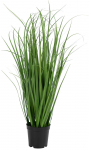 Kunsttaim, muru House Nordic Poa Grass, roheline v., 68 cm