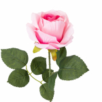 Kunstlill, roos Domoletti, roosa, 51 cm