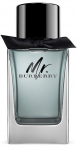 Tualettvesi Burberry Mr. Burberry, 100 ml