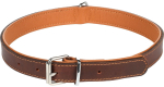 Kaelarihm koertele Flamingo Memphis, pruun, 450 - 550 mm x 27 mm, XL