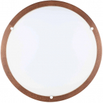 Valgusti plafoon Spot-Light Frida, LED, 1 x 18 W, pruun v.