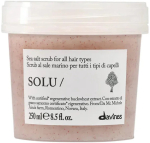 Juuksemask Davines Solu, 250 ml