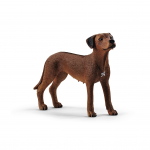 M&auml;ngukujuke Schleich Farm World Rhodesian Ridgeback 13895, pruun v.