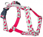 Koerte traksid Amiplay Be Happy, roosa/helesinine, 260 - 350 mm x 15 mm, 26-35