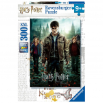 Pusle Ravensburger Harry Potter 128716, 49 cm x 36 cm, 300 tk, mitmev&auml;rviline