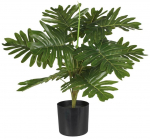 Kunsttaim potis, filodendron Splendid Philodendron, roheline v., 55 cm x 12.5 cm