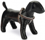 Koerte traksid Beeztees Designed by Lotte Virante, pruun, 260 - 400 mm x 10 mm