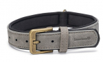 Kaelarihm koertele Beeztees Balacron, hall v., 290 - 350 mm x 15 mm, 29-35 x 1.5 cm