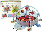 Tegevusmatt Lean Toys Gym & Ball Pit Ladybug