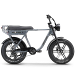 Elektriratas Ape Ryder A10, L, 20", 250 W, 10 Ah, hall v.