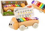 Laste ks&uuml;lofon 2in1