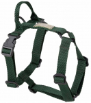 Koerte traksid Amiplay Guard Midnight, roheline, 380 - 550 mm x 20 mm, M