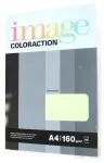 Kontoripaber Antalis Image Coloraction, A4, 160 g/m&sup2;, roheline v., 50 lk. tk.