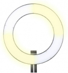 R&otilde;ngaslamp Falcon Eyes