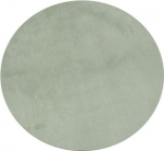 Vaip Conceptum Hypnose Oval Plush 202BLY1350, helehall, 120 cm x 120 cm