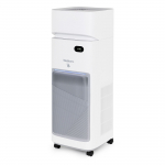 &Otilde;hupuhastaja Webber AP9650