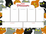 Teemantmosaiik, magnetiline planeerimiskalender Ideyka Cats, must v./oranž v./hall v.