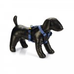 Koerte traksid Beeztees Premium, sinine v., 730 - 940 mm x 30 mm