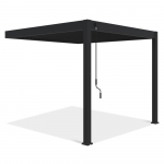 Aiatelk Pergola Elegance Wall, 309 x 256 cm, antratsiit v.