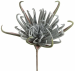 Kunstlill Flore 827, hall v., 62 cm